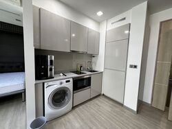 The Wisteria (D27), Apartment #562907151
